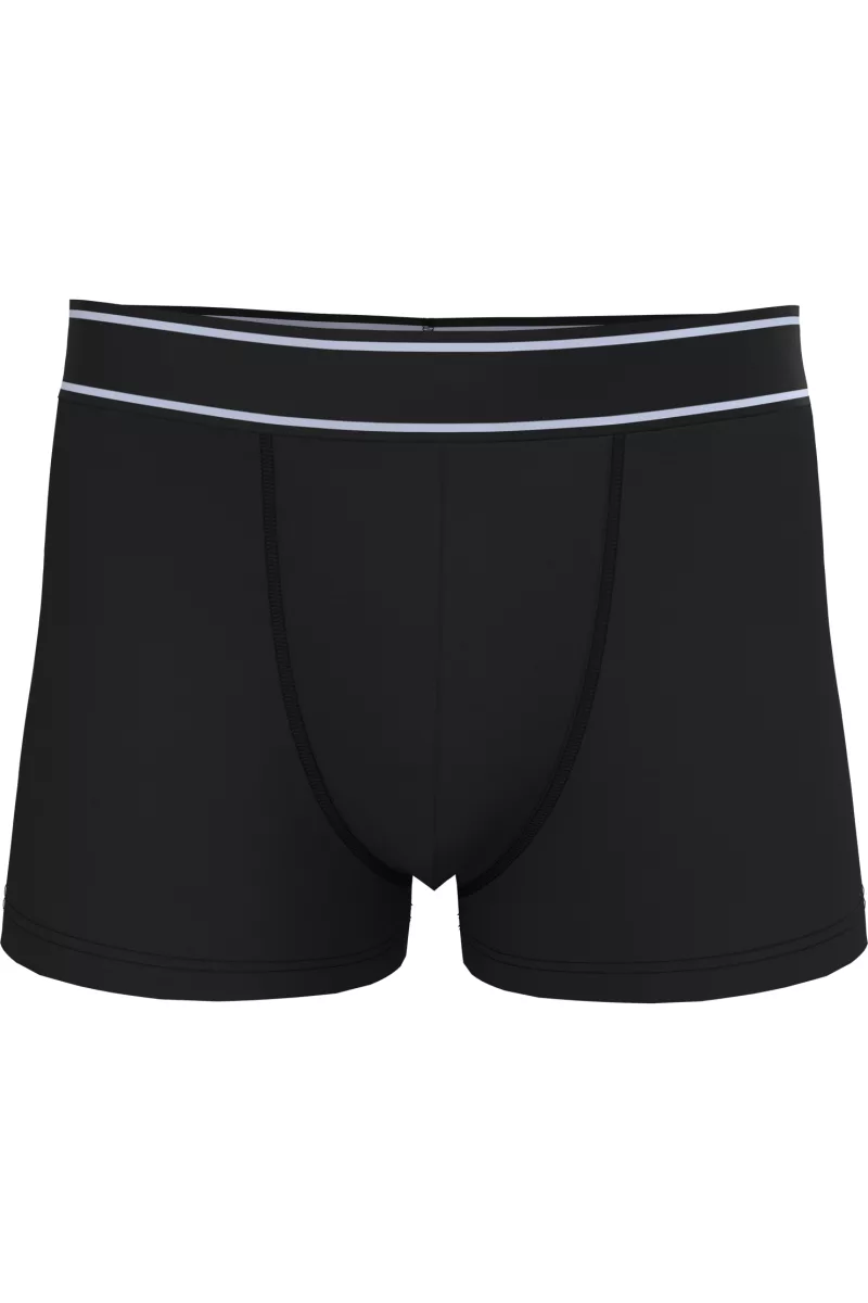 Boxer, Black