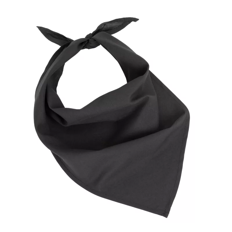 Fiesta - Bandana, Black