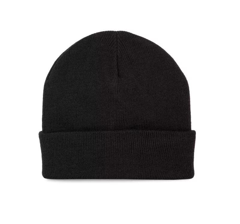 Recycled beanie with Thinsulate™ lining, Black